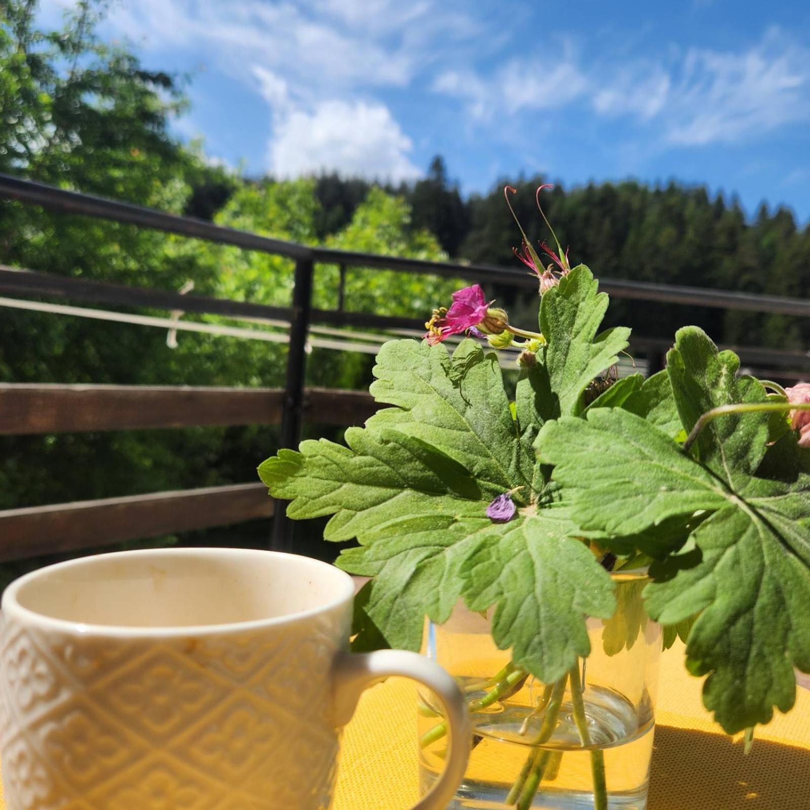 Guesthouse Classic Dospat Zewnętrze zdjęcie
